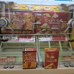 根室にて〜　一緒に遊びませんか?