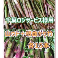 千葉ロジサービス様用