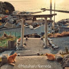 写真レベルアップ講座 受講者募集中。無料体験有り。の画像
