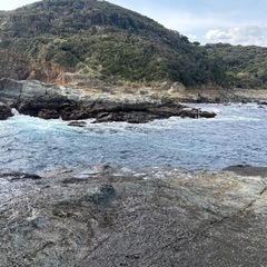 神奈川の釣り仲間募集してます。