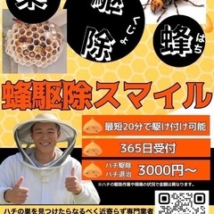 🐝蜂の巣駆除は【蜂駆除スマイル】にお任せ下さい！🐝