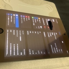 iPad mini 64G 第五世代　カバー　ペン　保護シール付き
