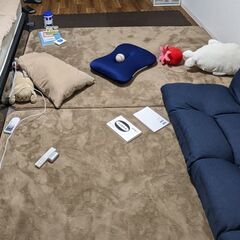 【16,000円相当】ニトリ　ラグ　カーペット　3点の画像