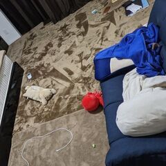 【16,000円相当】ニトリ　ラグ　カーペット　3点