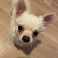 お話ししませんか？