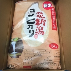 新潟県産　コシヒカリ　令和６年産　食品 ご飯 新米　未開封 お米...