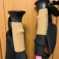 登山/ハイキング用ストックの画像