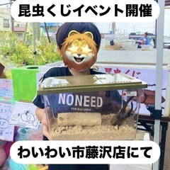 🌈GW🎏こどもの日✨昆虫くじイベントのお知らせ✨