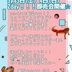 3日(土)4日(日)レオパ即売会開催❗️当店生体もセール価…