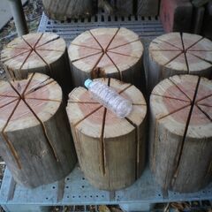 【数量限定】ウッドキャンドル  (針葉樹)　キャンプ・焚火に!!...