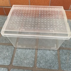 飼育ケース