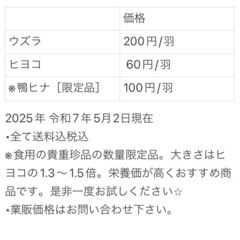 【高品質】【低価格】猛禽類🦉爬虫類🐍の冷凍餌