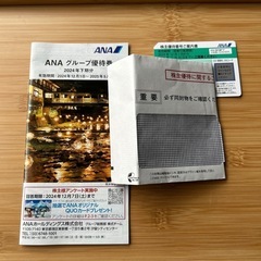 ANA株主優待チケットご案内書　1枚　