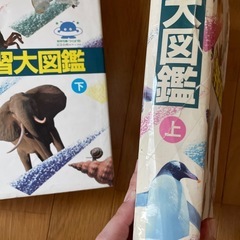 講談社　学習大図鑑の画像