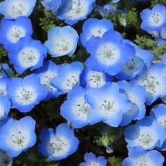5月3日（土)ライブハウスで歌おう🎵