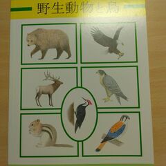 『日本人ガイドが書いた カナディアン・ロッキー 野生動物と鳥』唐...