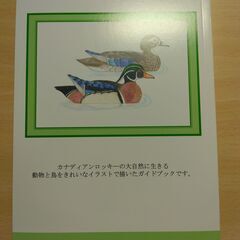 『日本人ガイドが書いた カナディアン・ロッキー 野生動物と鳥』唐鎌英夫、唐鎌聖子の画像