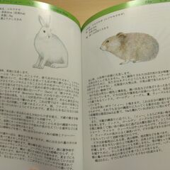 『日本人ガイドが書いた カナディアン・ロッキー 野生動物と鳥』唐鎌英夫、唐鎌聖子の画像
