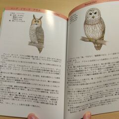 『日本人ガイドが書いた カナディアン・ロッキー 野生動物と鳥』唐鎌英夫、唐鎌聖子の画像