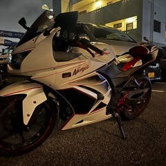 カワサキニンジャ250の画像