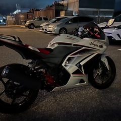 カワサキニンジャ250