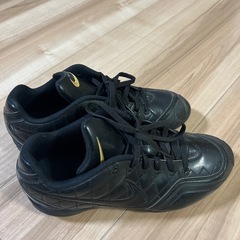 NIKE 野球スパイク　25.5㎝の画像