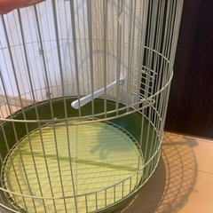鳥カゴの画像
