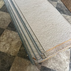サイティング　6枚　3100mmの画像