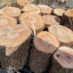 丸太　生木　ナラの木　1つ。30キロ〜45キロくらい　薪割り台に...