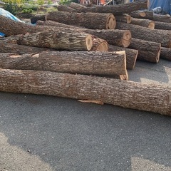 丸太　生木　ナラの木　1つ。25キロ〜45キロくらい　薪割り台にいかが？ の画像