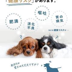 早食い防止 食器 犬 【獣医師監修】 フードボウル ペット 健康管理 中型犬 大の画像