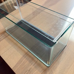 水槽(45cm)と外掛けフィルターの画像