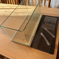 水槽(45cm)と外掛けフィルターの画像