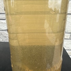 ゾウリムシ