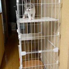 アイリスオーヤマ スリム キャットケージ 2段 ホワイト　猫　ケージ