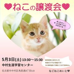 5／3 保護猫譲渡会　名古屋市