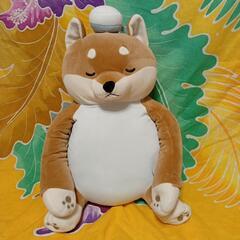 ねむねむアニマルズ COOL 背筋ピーン抱き枕　コタロウ　ひんや...