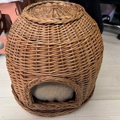 猫の居場所