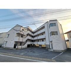 初期費用5万円パック⭐️敷・礼・仲0円⭐️フリーレント⭐️…