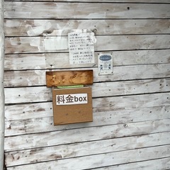 めだかの画像