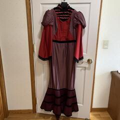 【ウィッグ・小物付き】ハズビンホテルへようこそ！ ロージー コスプレセットの画像