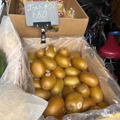 ゼスプリ🥝サンゴールドキウイ入荷しました！✨