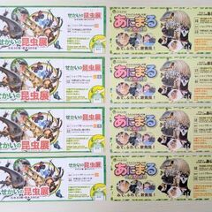 東南植物楽園　せかいの昆虫展4枚＆あにまーる4枚