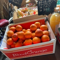 国産🍊愛媛ブラッドオレンジ