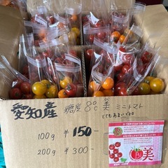 高糖度フルーツミニトマト🍅美🍅