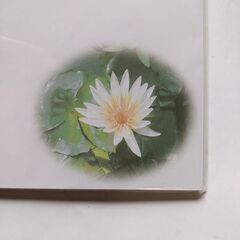 心和ませる 一筆箋《新品未使用》の画像