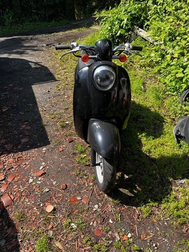 ホンダ　スクーピー　原付　50cc 現状渡し