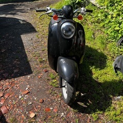 ホンダ　スクーピー　原付　50cc 現状渡し 