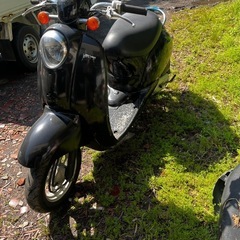 ホンダ　スクーピー　原付　50cc 現状渡し の画像