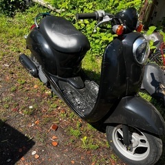 ホンダ　スクーピー　原付　50cc 現状渡し の画像